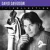David Davidson: The Collection album lyrics, reviews, download
