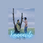 Kanaavile (feat. Rakhooo) artwork