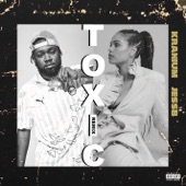 Toxic (Remix) [feat. JessB] artwork