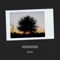 Seasons (Alone) - IASU lyrics