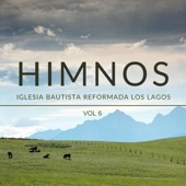 Himnos Iglesia Bautista Reformada Los Lagos. Vol.6 (En Vivo) artwork