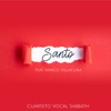 Santo (feat. Marco Villacura) - Single