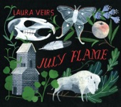 Laura Veirs - I Can See Your Tracks