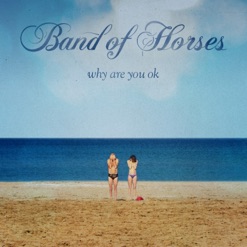 WHY ARE YOU OK cover art