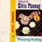 Bài Ca Ngông - Elvis Phương lyrics