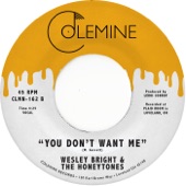 Wesley Bright and the Honeytones - You Don’t Want Me