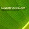 The Day Long Gone - Rainforest Music Lullabies Ensemble lyrics