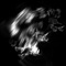 Dalston - Steven Weston lyrics