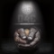 I Submit - D4Christ lyrics