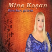 Ateş Donar Su Yanar artwork