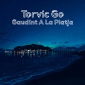 Gaudint a la Platja artwork