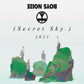 Secret Sky 2021 (DJ Mix) artwork