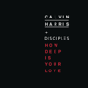 Calvin Harris & Disciples - How Deep Is Your Love artwork