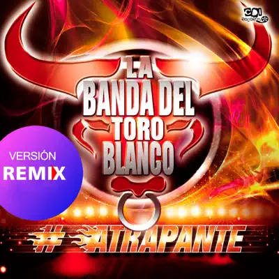 Quiero verte (Remix) [feat. Los Lirios] - Single - La Banda Del Toro Blanco