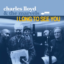 I LONG TO SEE YOU cover art