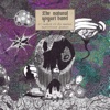 57 Lashes of the Mallet / Mysterious Planet - Single