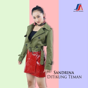 Sandrina - Ditikung Teman - Line Dance Musique