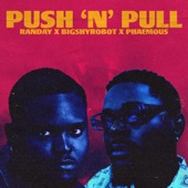 Push & Pull (feat. Phaemous & Bigshyrobot) artwork