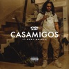 Casamigos (feat. Zoey Brinxx) - Single