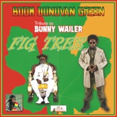 Fig Tree (Tribute to Bunny Wailer) [Dub] artwork