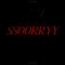 SSOORRYY (feat. KXTAMINE) - The Muffler Man lyrics