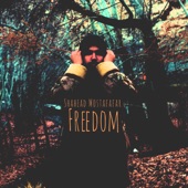 Freedom artwork