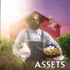 Assets (Fowl Coop) - Single album lyrics, reviews, download