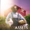 Assets (Fowl Coop) - Single