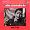Pandharinatha Zadkari Aata album lyrics, reviews, download
