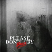 Please Don't Cry artwork
