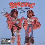 Specific (feat. Blxst) by Shordie Shordie