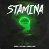 Stamina - Single