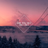 Are You Ok? (Tiktok Remix) artwork