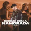 Stream & download Briguei Com a Namorada - Single