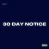 30 DAY NOTICE - Single album lyrics, reviews, download