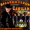 Vamos Hacer Un Desmadre (feat. Grupo Armado) - Ricardo Cerda El Gavilan lyrics