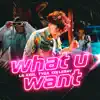 Stream & download What U Want - Single