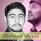 Shahzad Ayubi New Song - Shehzad Ayubi lyrics