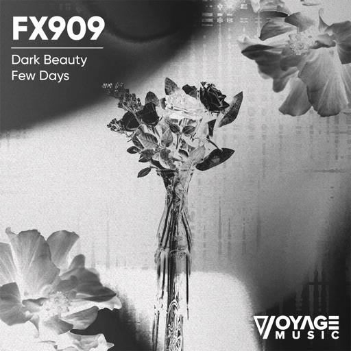 Dark Beauty / Few Days - Single by FX909