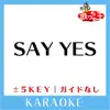 SAY YES +2Key No Guide melody Original by Chage & Aska song lyrics