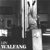 Walfang - Create, Decimate