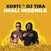 Imali Ingenile (feat. DJ Tira) - Single album lyrics, reviews, download