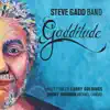 Gadditude (feat. Walt Fowler, Larry Goldings, Jimmy Johnson & Michael Landau) album lyrics, reviews, download