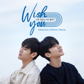 Wish You (Original Television Soundtrack) - KANG IN SOO, LEE SANG & RUNY
