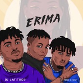Erima (feat. Terri & Minz) artwork