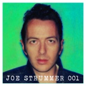 Joe Strummer - Before I Grow Too Old (Silver and Gold)