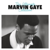 Marvin Gaye - Got to Give It Up