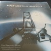 Rock meets Flamenco (Instrumental) - Single