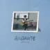 Andante album cover