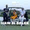 Haw Fi Belek (feat. G.G.A & Tchiggy) artwork